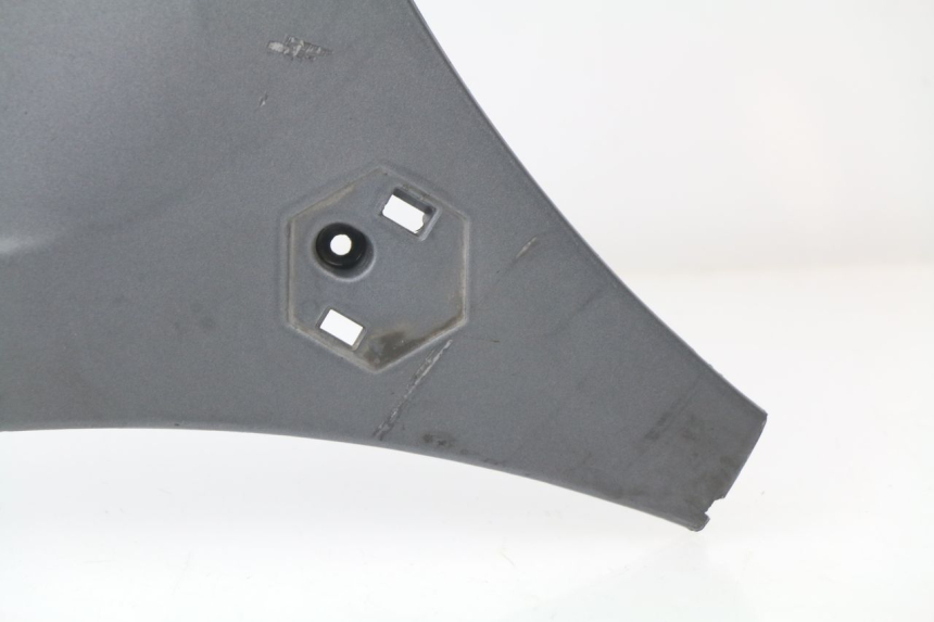 photo de OBERES VORDERTEIL PIAGGIO MP3 500 (2011 - 2015)