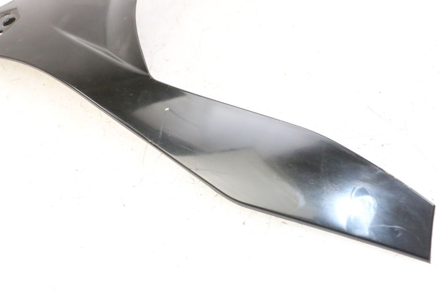 photo de OBERES VORDERTEIL PIAGGIO MP3 500 (2011 - 2015)