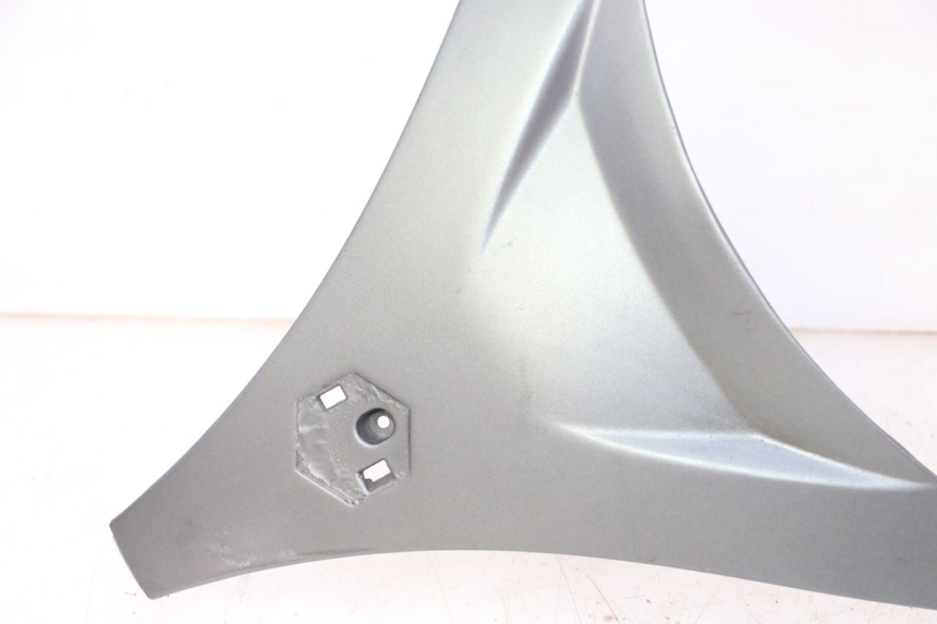 photo de OBERES VORDERTEIL PIAGGIO MP3 500 (2011 - 2015)