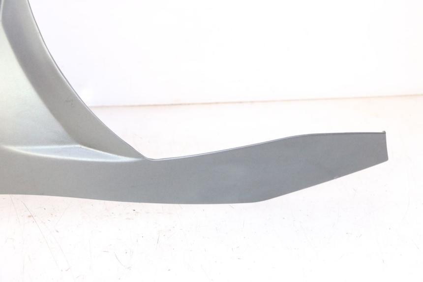 photo de OBERES VORDERTEIL PIAGGIO MP3 500 (2011 - 2015)