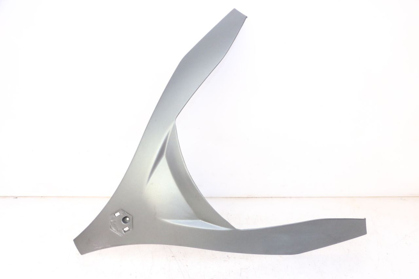 photo de OBERES VORDERTEIL PIAGGIO MP3 500 (2011 - 2015)