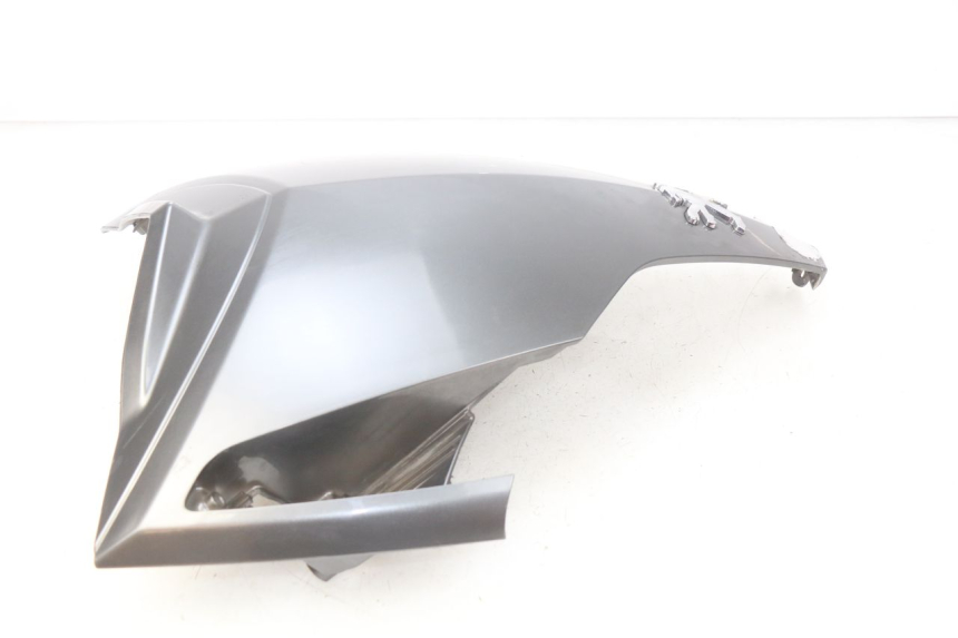 photo de OBERES VORDERTEIL PEUGEOT GEOPOLIS 400 (2007 - 2013)