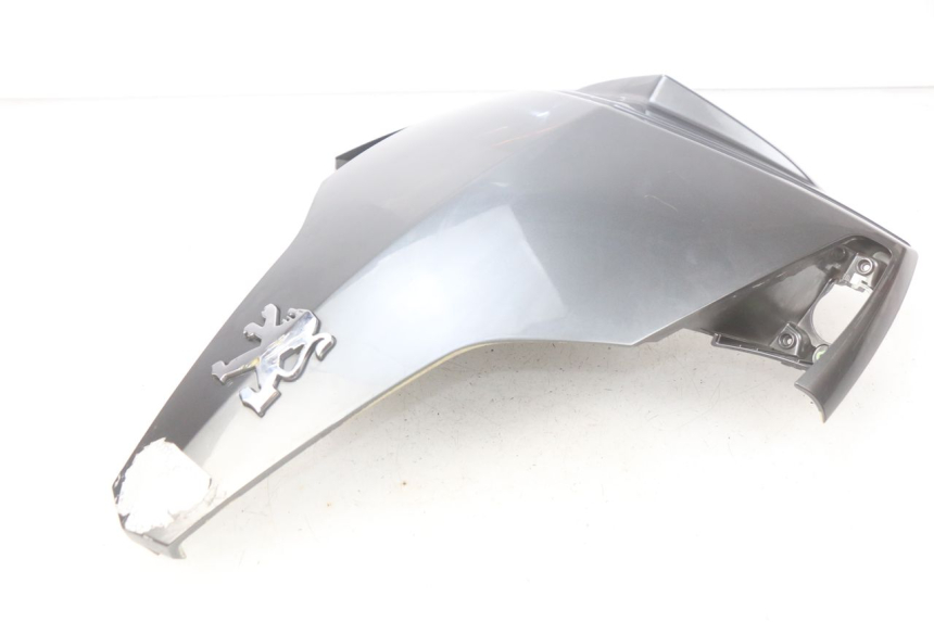 photo de OBERES VORDERTEIL PEUGEOT GEOPOLIS 400 (2007 - 2013)