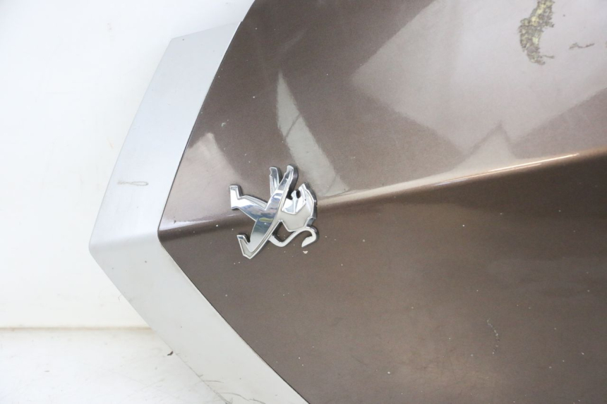 photo de FRONTVERKLEIDUNG OBEN PEUGEOT VIVACITY 125 (2010 - 2017)