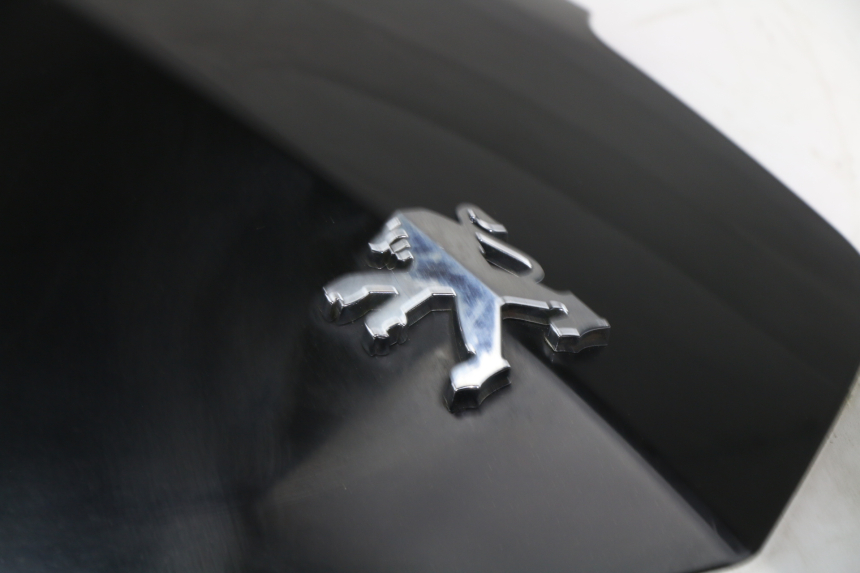 photo de OBERES VORDERTEIL PEUGEOT VIVACITY NEW 4T 50 (2008 - 2017)