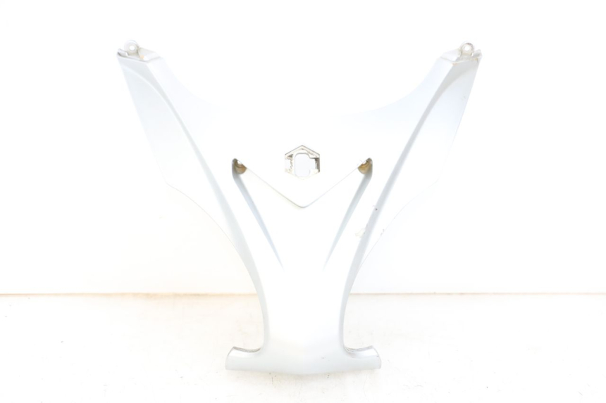photo de FRONTVERKLEIDUNG OBEN PIAGGIO X9 125 (2000 - 2003)