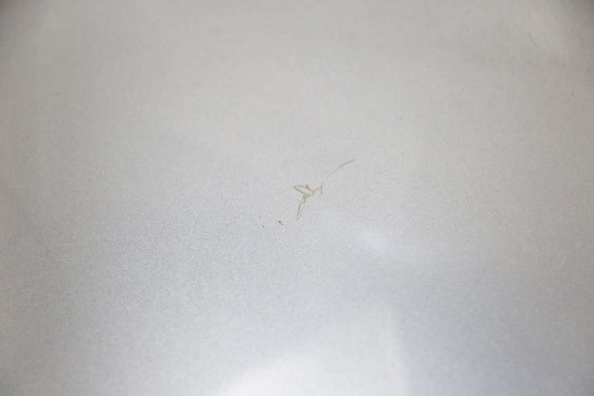 photo de VORDERES OBENES GESICHT EFUN PUSA 1 - Oberflächenzustand und Material