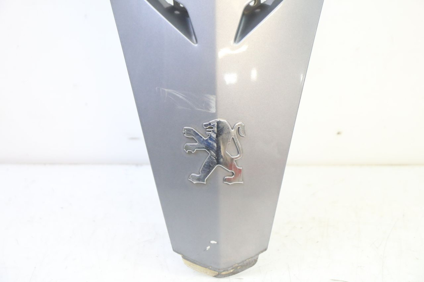 photo de FRONTVERKLEIDUNG OBEN PEUGEOT SATELIS 250 (2006 - 2012)