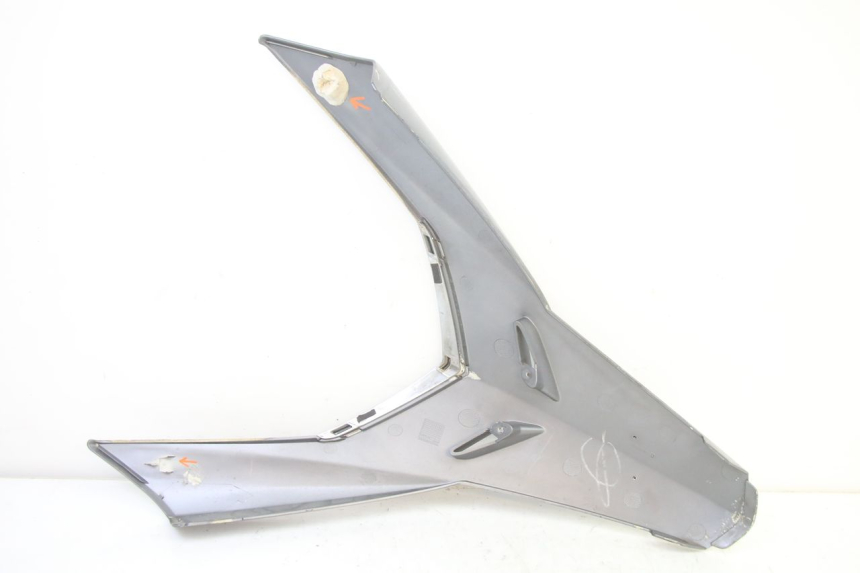 photo de FRONTVERKLEIDUNG OBEN PEUGEOT SATELIS 250 (2006 - 2012)
