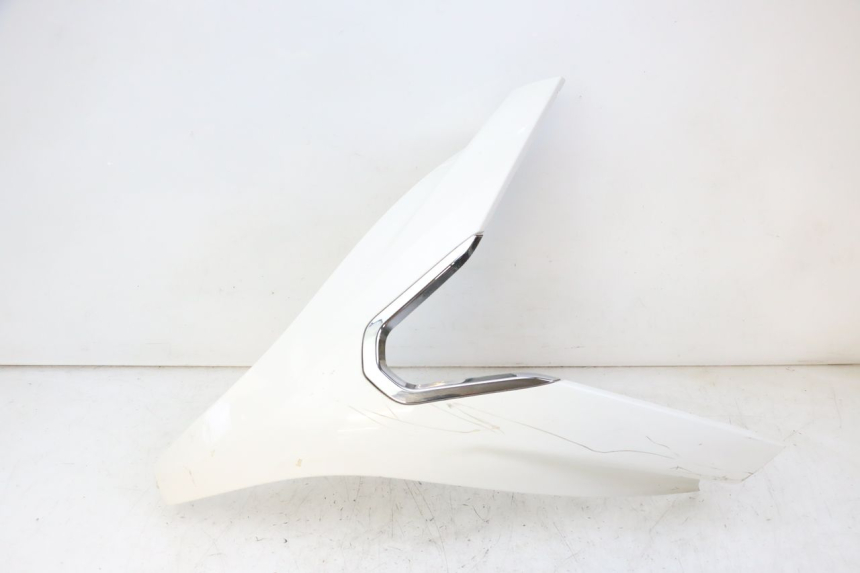 photo de OBERES VORDERTEIL PEUGEOT SATELIS 125 (2010 - 2012)