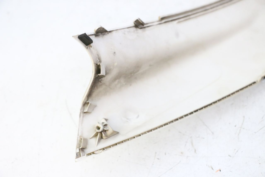 photo de OBERES VORDERTEIL PEUGEOT SATELIS 125 (2010 - 2012)