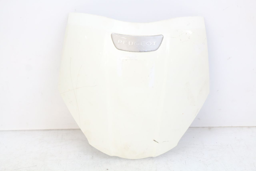 photo de OBERES VORDERTEIL PEUGEOT TWEET 4T 50 (2018 - 2020)