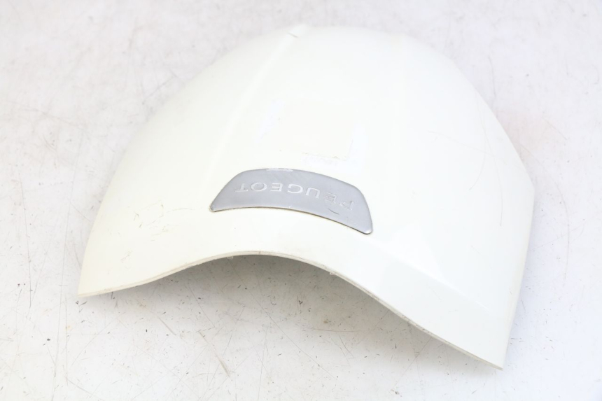 photo de OBERES VORDERTEIL PEUGEOT TWEET 4T 50 (2018 - 2020)