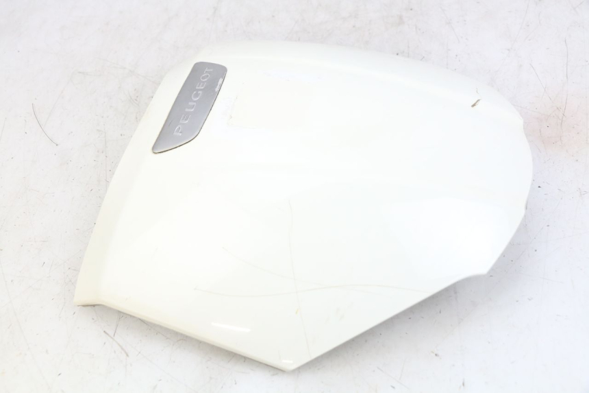 photo de OBERES VORDERTEIL PEUGEOT TWEET 4T 50 (2018 - 2020)