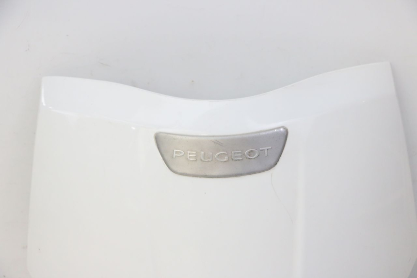 photo de FRONTVERKLEIDUNG OBEN PEUGEOT TWEET PRO CARGO 50 (2018 - 2020)