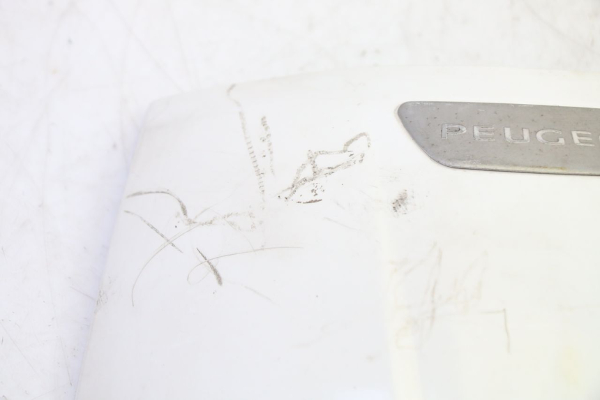 photo de FRONTVERKLEIDUNG OBEN PEUGEOT TWEET PRO EFI 4T 50 (2021 - 2022)