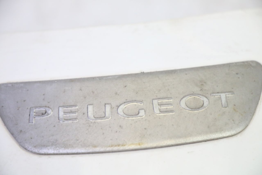 photo de FRONTVERKLEIDUNG OBEN PEUGEOT TWEET PRO EFI 4T 50 (2021 - 2022)