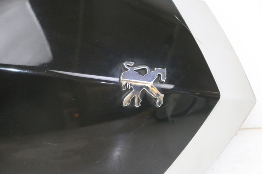 photo de OBERE VORDERSEITE PEUGEOT VIVACITY NEW 2T 50 (2008 - 2017)