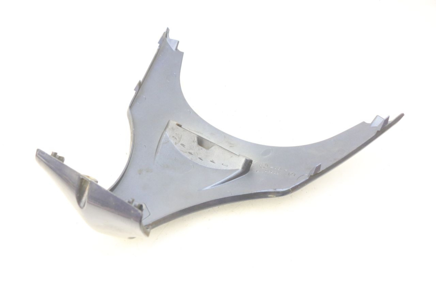 photo de OBERES VORDERTEIL PIAGGIO X9 EVOLUTION 500 (2003 - 2005)