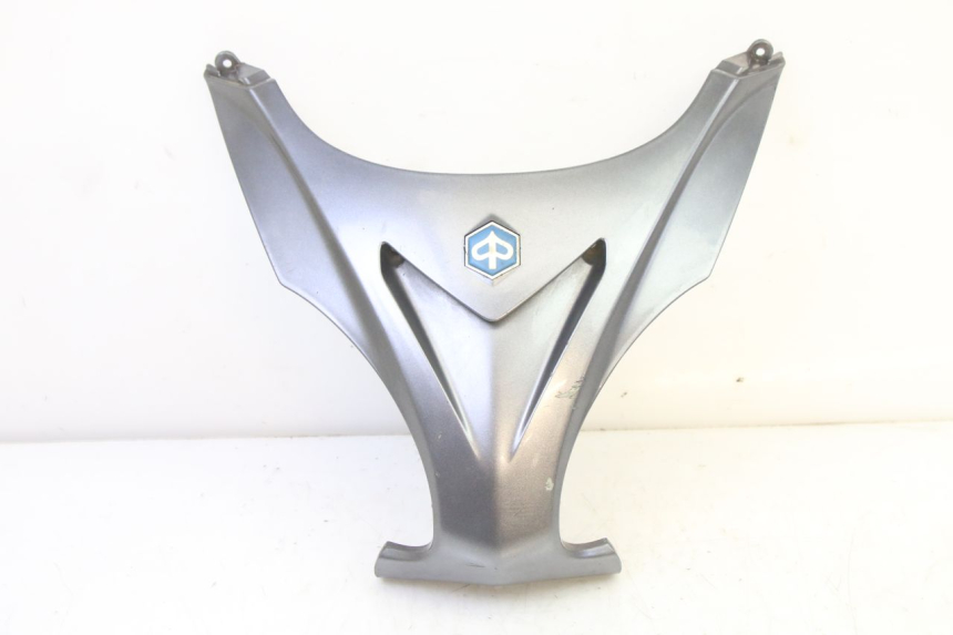 photo de OBERES VORDERTEIL PIAGGIO X9 EVOLUTION 125 (2003 - 2007)