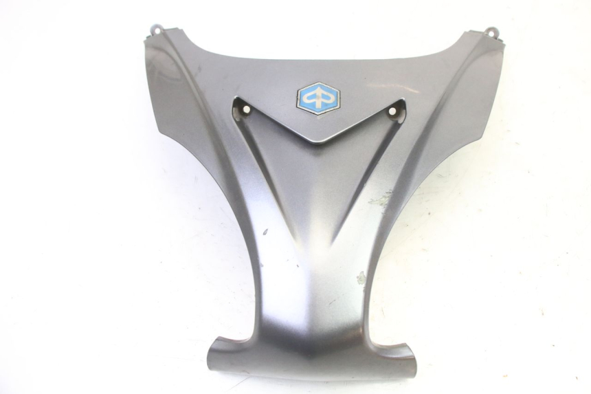 photo de OBERES VORDERTEIL PIAGGIO X9 EVOLUTION 125 (2003 - 2007)