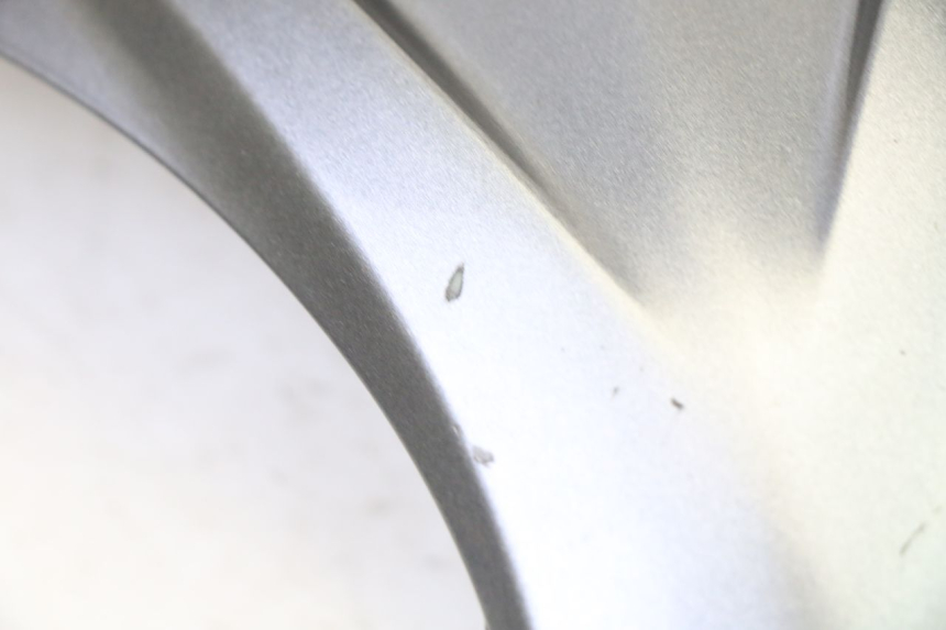 photo de OBERES VORDERTEIL PIAGGIO X9 EVOLUTION 125 (2003 - 2007)