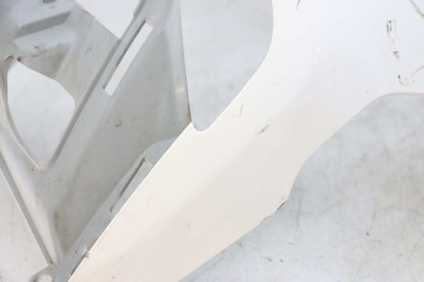 photo de FRONTVERKLEIDUNG  PEUGEOT TWEET PRO EFI 4T 50 (2021 - 2022)