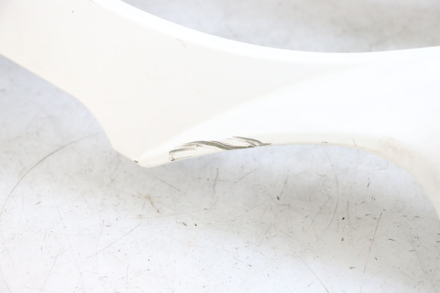 photo de FRONTVERKLEIDUNG  PEUGEOT TWEET PRO EFI 4T 50 (2021 - 2022)