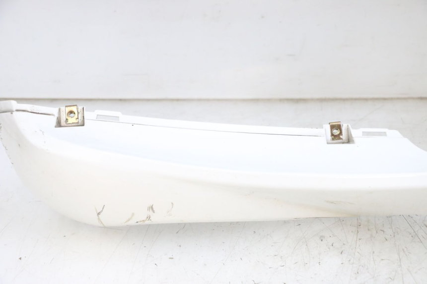 photo de FRONTVERKLEIDUNG  PEUGEOT TWEET PRO EFI 4T 50 (2021 - 2022)