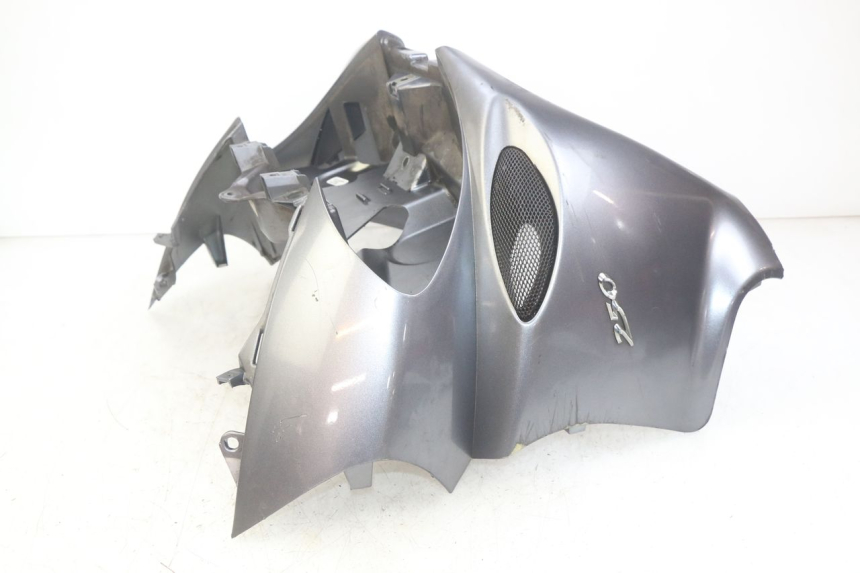 photo de VORDERSEITE PIAGGIO X9 EVOLUTION 250 (2003 - 2007)