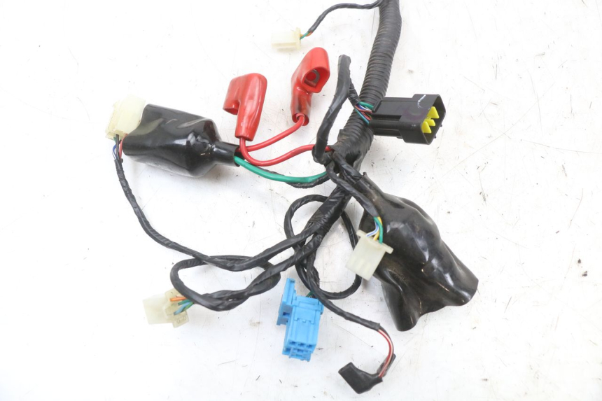 photo de KABELBAUM TNT MOTOR BOSTON 4T 50 (2018 - 2025)