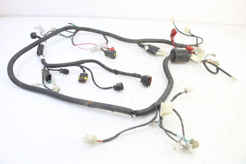 photo de KABELBAUM TNT MOTOR BOSTON 4T 50 (2018 - 2025)