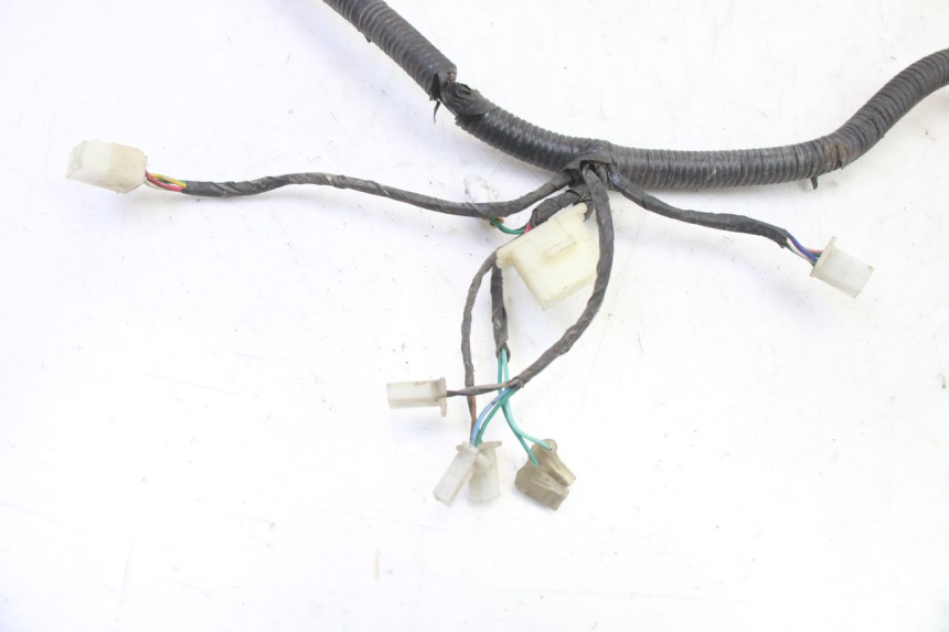photo de KABELBAUM TNT MOTOR BOSTON 4T 50 (2018 - 2025)