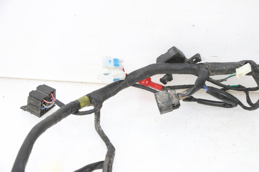 photo de KABELBAUM MOTRON BREEZY 4T 50 (2021 - 2025)
