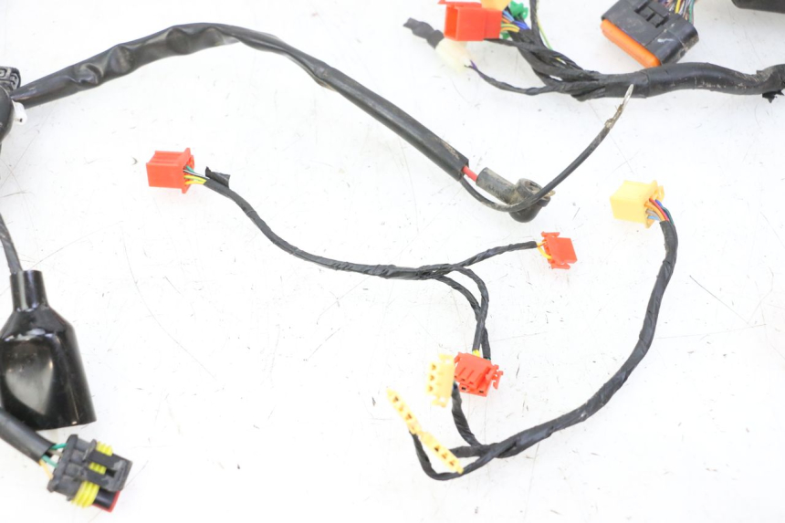 photo de KABELBAUM MOTRON BREEZY 4T 50 (2021 - 2025)
