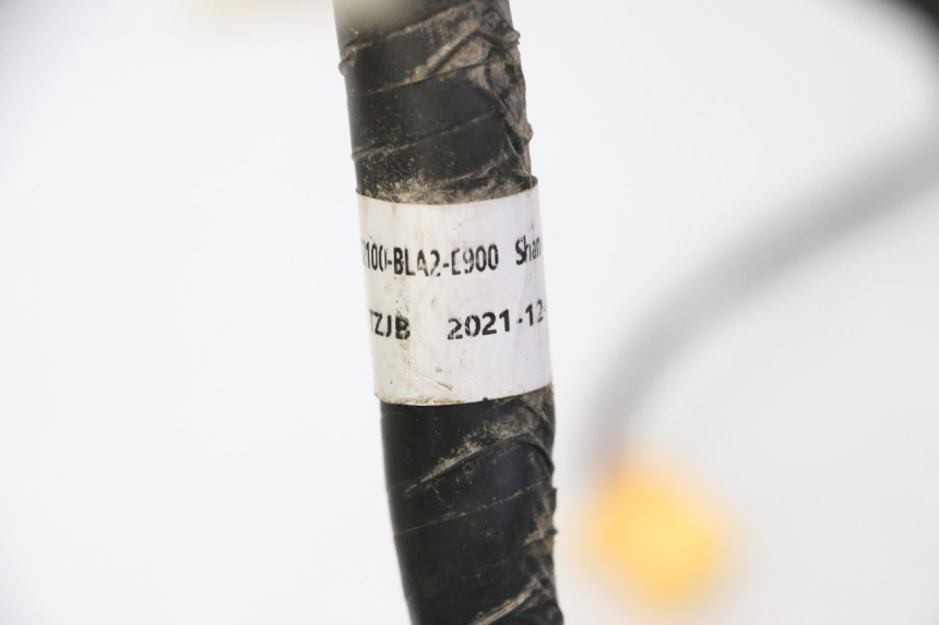 photo de KABELBAUM MOTRON BREEZY 4T 50 (2021 - 2025)