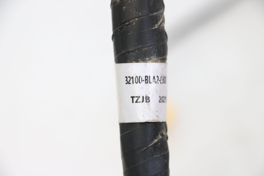 photo de KABELBAUM MOTRON BREEZY 4T 50 (2021 - 2025)