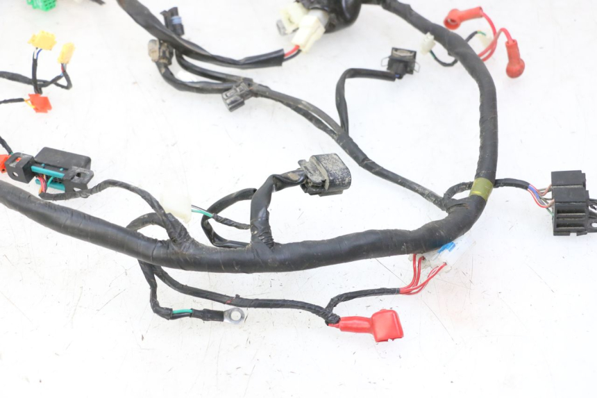 photo de KABELBAUM MOTRON BREEZY 4T 50 (2021 - 2025)