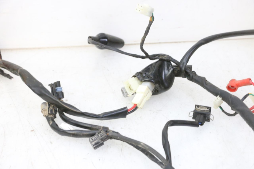 photo de KABELBAUM MOTRON BREEZY 4T 50 (2021 - 2025)