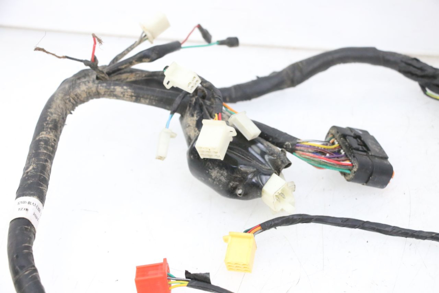 photo de KABELBAUM MOTRON BREEZY 4T 50 (2021 - 2025)