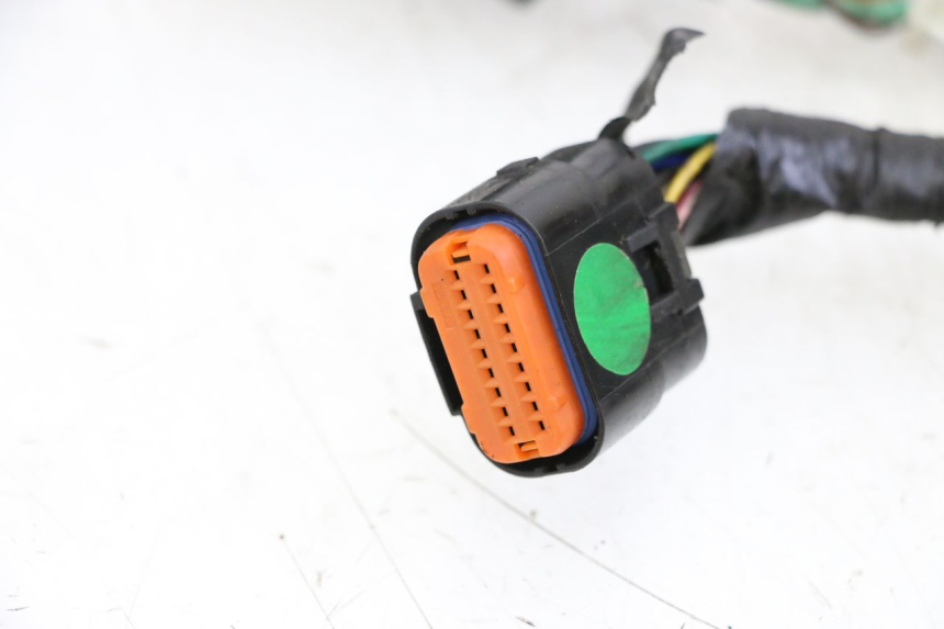 photo de KABELBAUM ORCAL CAVARO 4T 50 (2019 - 2023)