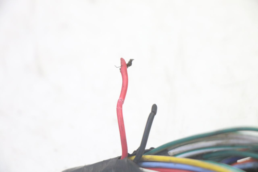 photo de KABELBAUM SYM CROX 4T 50 (2016 - 2023)