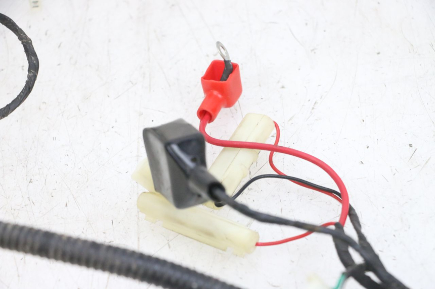 photo de KABELBAUM LONGJIA DIGITA 4T 50 (2019 - 2022) - Kennzeichnungen und Originalreferenzen