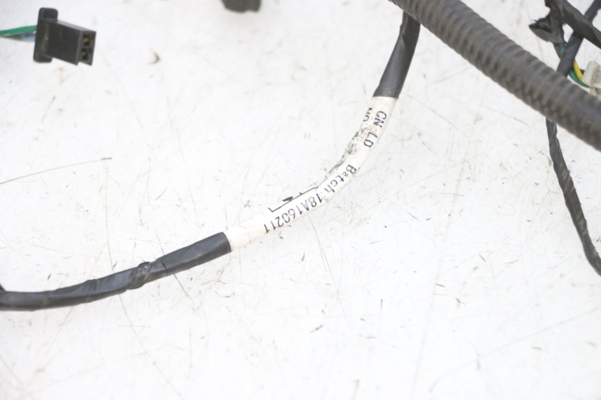 photo de KABELBAUM PEUGEOT DJANGO 4T 50 (2014 - 2019) - Fokus auf die Struktur