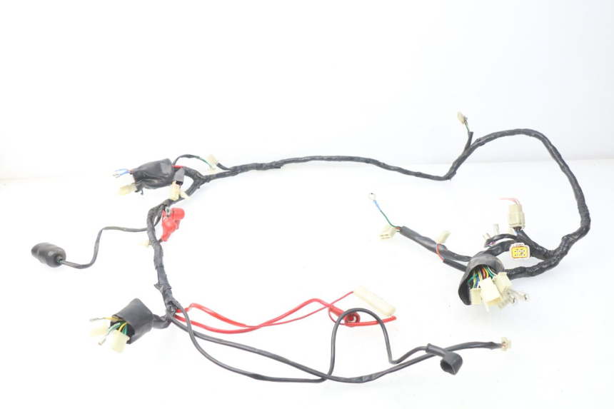 photo de KABELBAUM EUROCKA FIFTY 50 (2013 - 2022)