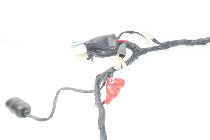 photo de KABELBAUM EUROCKA FIFTY 50 (2013 - 2022)