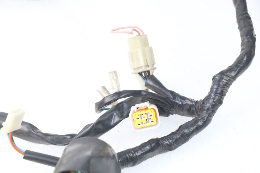 photo de KABELBAUM EUROCKA FIFTY 50 (2013 - 2022)