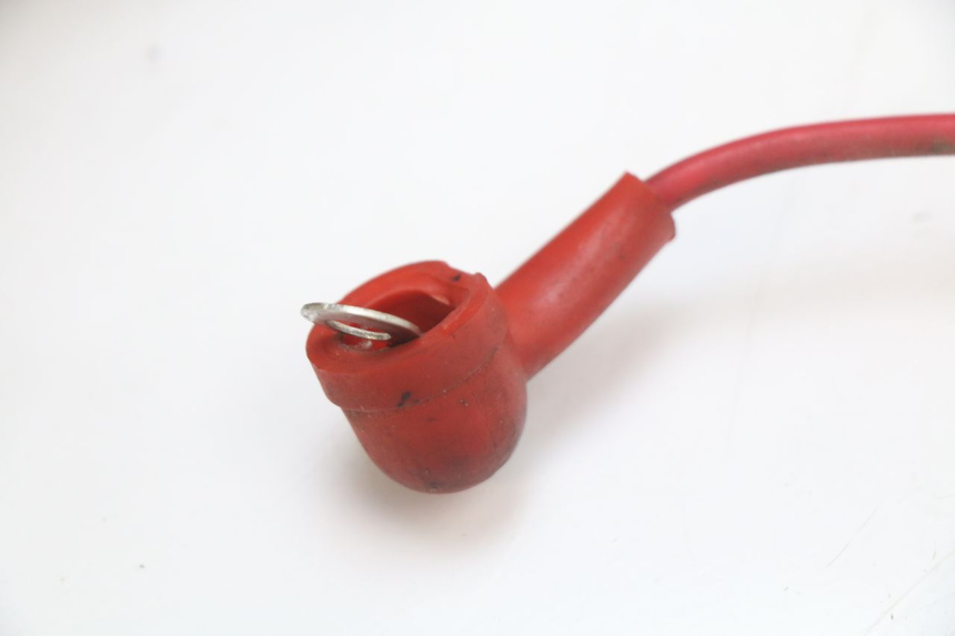 photo de KABELBAUM EUROCKA RETRO 50 (2007 - 2014)