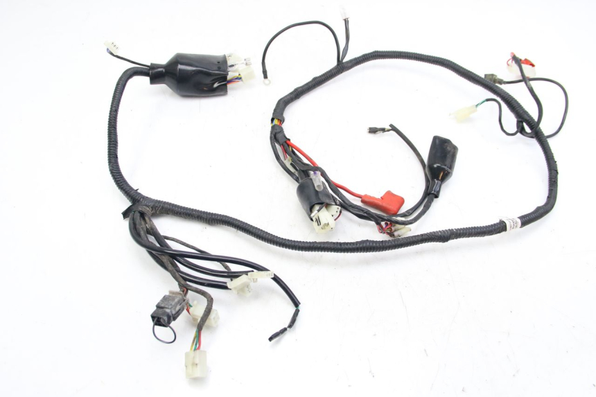 photo de KABELBAUM JM MOTORS EVOLIS 4T 50 (2018 - 2022)