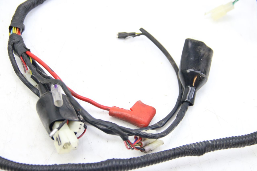 photo de KABELBAUM JM MOTORS EVOLIS 4T 50 (2018 - 2022)